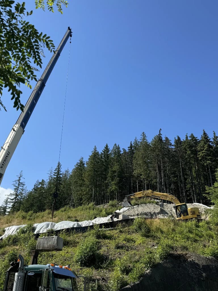 Construction site with crane and excavator against a forest backdrop